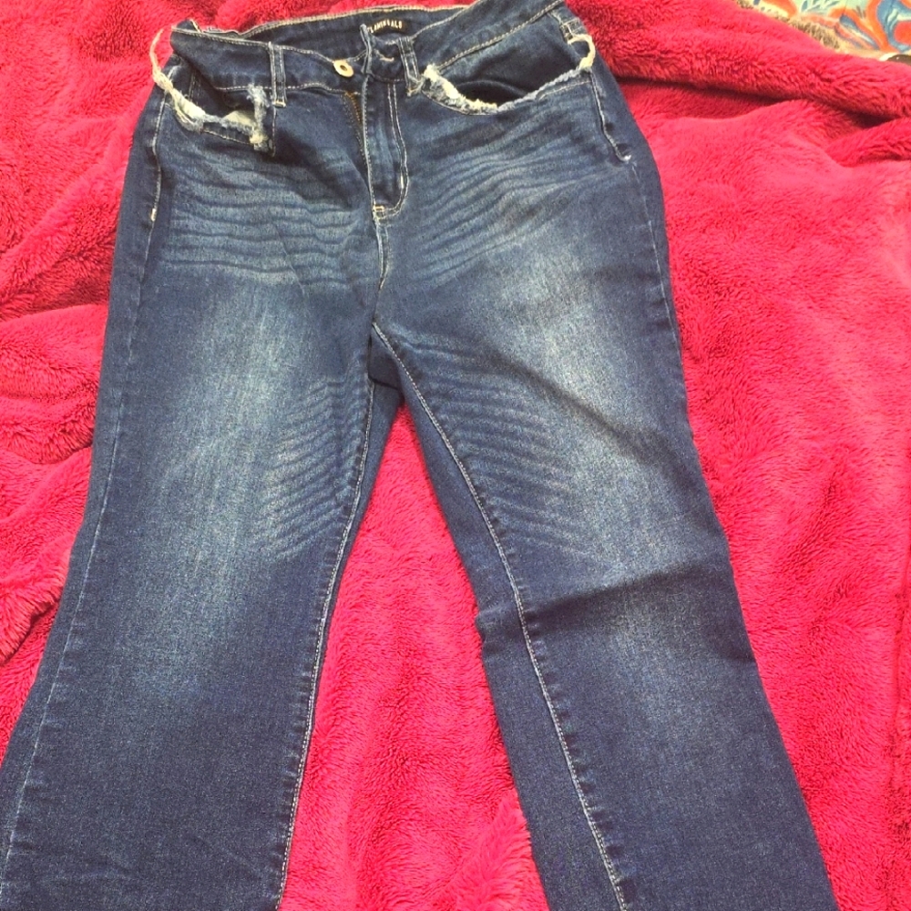 Flamingo Stylish Blue Women's Jeans